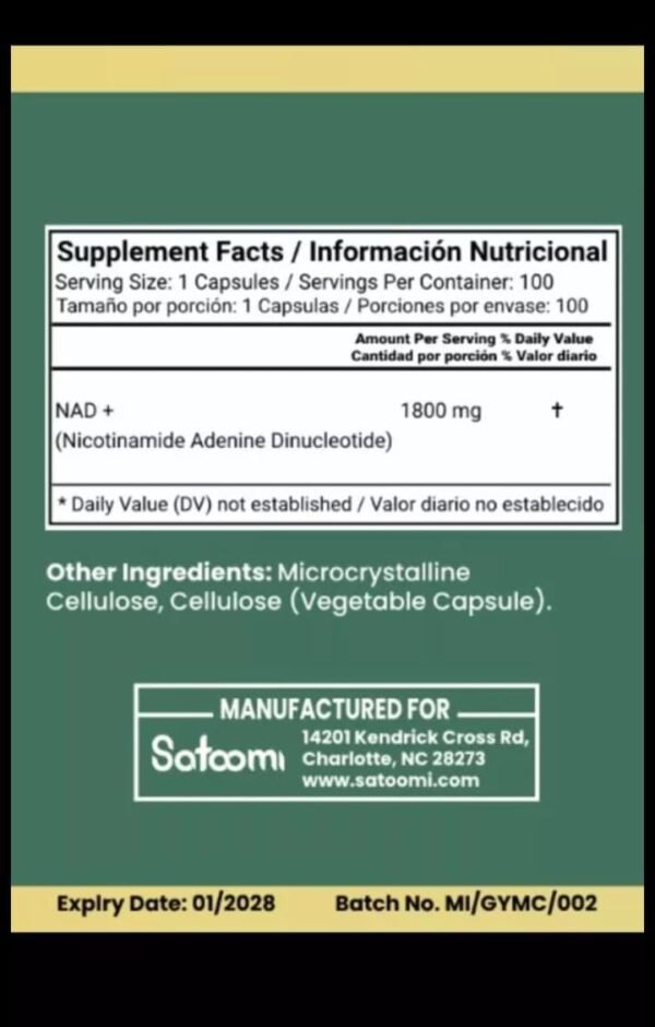 Nad + Satoomi - Imagen 2