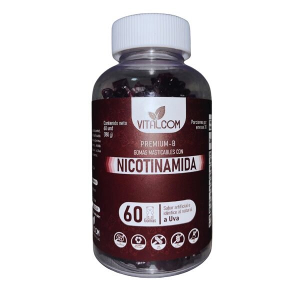 GOMAS NICOTINAMIDA VITALCOM X60