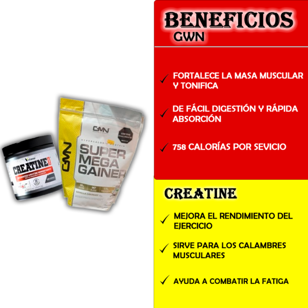 COMBO SUPER MEGA GAINER + CREATINA VITAN - Imagen 3