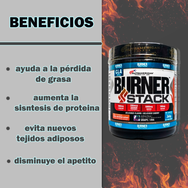BURNER STACK - Imagen 2