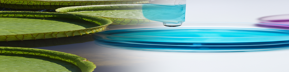 Banner Fuxion