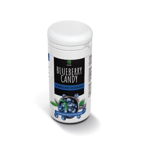 Blueberry Candy Caramelo Duro Con Arandano HGW