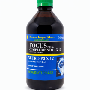 26i FOCUS MULTICEREBRAL