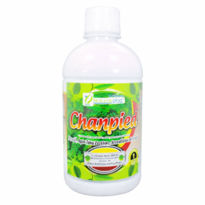 13V REJUVENECEDOR RENAL