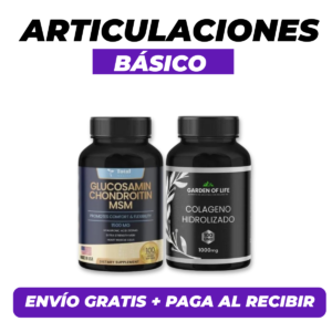 KIT ARTICULACIONES 01